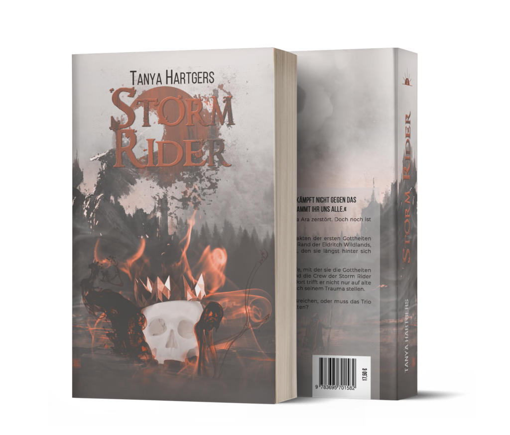 Storm Rider Cover